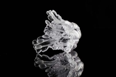 Transparent PMMA finish part 11